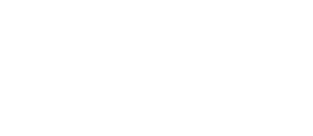 Sapience Logo